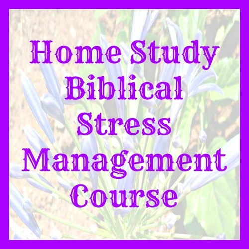 Product picture Home Study Biblical Stress Management Course